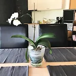 Apartment Miramar 8 Balchik